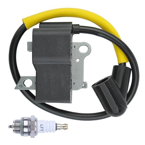 Bobine d'allumage résout problème démarrage difficile modèles 51 66 223L 323L