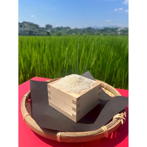 [定期便]令和7年産 毎月お届け 定期便 富水米 精米 5kg×12か月 にこまる