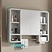 Mobile Storage Rack Freestanding Display Rack Tool Pegboard Garage,LED Bathroom Medicine Cabinet with Mirror Shelves Towel Rack and Time Display Wall Mounted Storage Cabinet (90cm/35.4in)