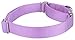 Country Brook Petz - Martingale Dog Collar - Heavy-Duty Training Collar with No Buckle - Service Dog Collar for All Pups - 10+ Cool Colors (Lavender, 3/8 Inch, 3 Extra Small)