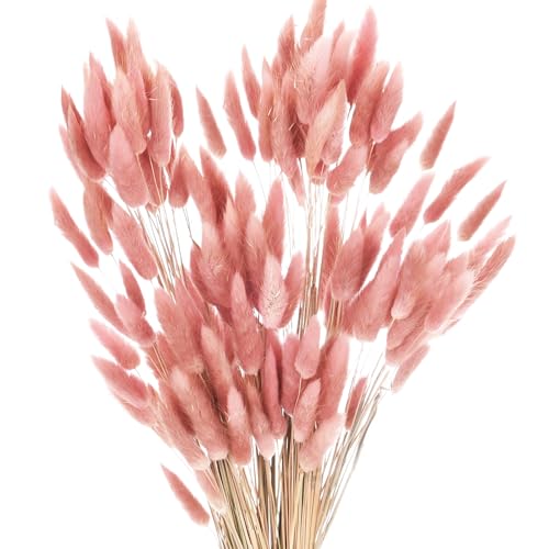 poraceous 120 Pièces Bouquet De Fleurs Séchées Naturelles, Queues de Lapin, Fleur de Lapin Naturel, Herbe de la Pampa, Bouquet Fleurs Séchées Matières, pour Mariage, Salon, Chambre à Coucher