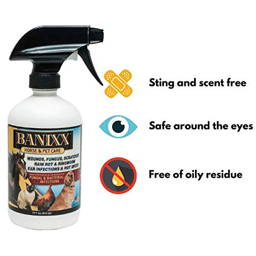 Banixx Horse And Pet Care 16 Oz #TOP2