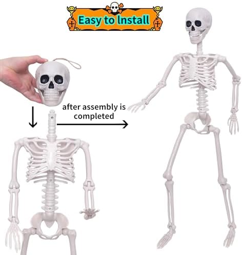 41RYtgp57eL._AC_ Skeleton Halloween Decorations 3ft Life-Size Skeleton Moving Skeleton Plastic Human Skeleton with Moving Joints for Halloween Decorations (2, Grey)