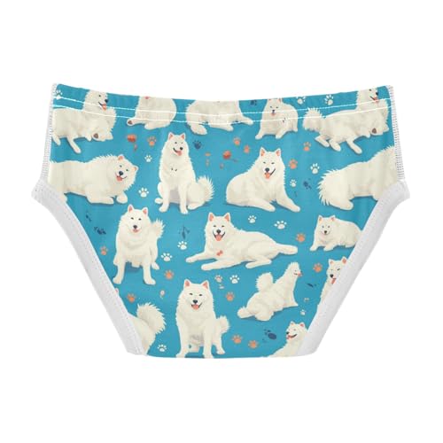 Wusikd Dog Paws Boys' Underwear Cotton Funny Boys Briefs Soft Toddler Underwear 2T2