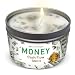 Money Aromatherapy Candle for Getting a Cash Flow Boost - Sage Cinnamon Scented Natural Soybean Wax Tin Candle for Purification and Chakra Healing Under $20