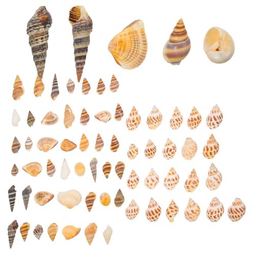 LOLIPPYY 2 gp̊񋏊I?ANZT[ ^N iϏ 퉩ėR`Ntg{gVFGRWJfR[V