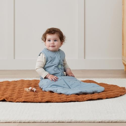 Image of ergoPouch 2.5 Tog Jersey Sleeping Bag - Arms-Out Baby Sleep Sack, Ideal Transition from Swaddling, Slim Fit Keeps Baby Secure & Comfortable, Soft Breathable Fabric (8-24 Months, Dragonflies)