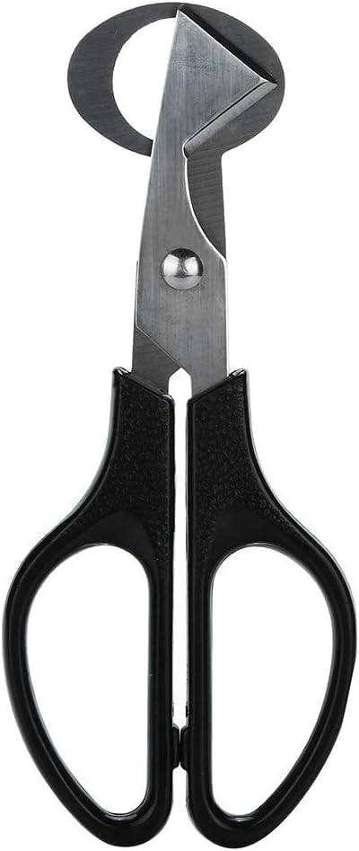 Black Quail Egg Scissor Pigeon Cutter Small Quail Egg Cracker Opener Cigar Cutter Stainless Steel Blade Tool Egg Separators Specialty Tools and Gadgets, Egg Separators