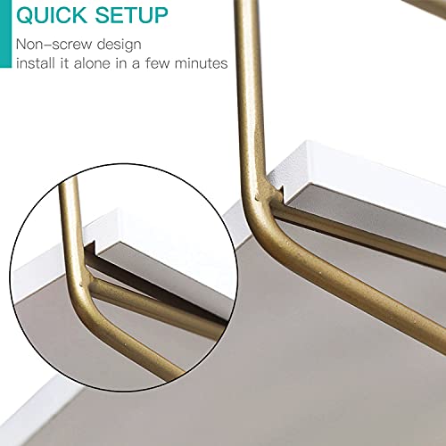 Boluo Gold Wall Shelf Bathroom Shelves - Bedroom Kitchen Living Room Modern Book Shelf Floating Shelves 24 Inch (610-G) #TOP5