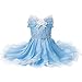 FYMNSI Blumenmädchen Kleid Kinder Mädchen Aschenputtel Kostüm Schulterfrei Spitzenkleid Tütü Prinzessin Cinderella Halloween Geburtstag Partykleid Abendkleid Brautjungfern Festkleid Blau 6-7 Jahre