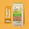 Organic Groundnuts/Peanuts, 500 Grms Certified By USDA
