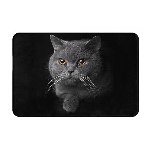 փ}bg L L ˂ ueBbVV[gwA Aj }bg z  R hL oX}bg z ~ hJr  L oX[ Lb` lGpJ[ybg 40×60cm