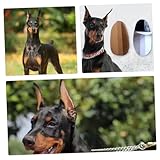 TOBBOMEY Hundeohren-Aufkleber Ohrenstütze Für Welpen Natürliches Stehen Der Ohren Komfortabler Ohrenschutz Mit Klebstoff Einfache Anwendung Zur Ohrpflege Und Ohrkorrektur