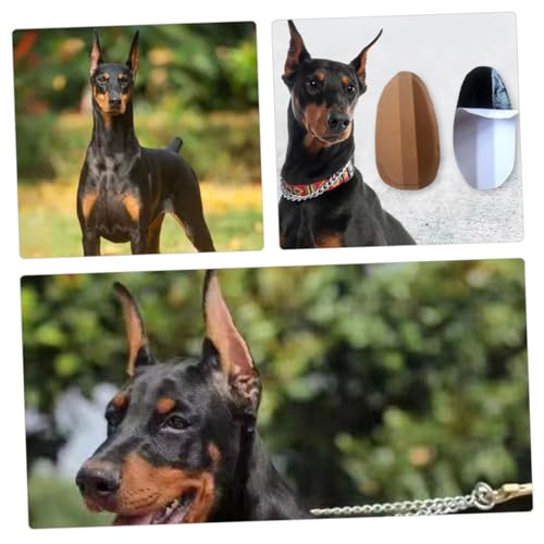 TOBBOMEY Hundeohren-Aufkleber Ohrenstütze Für Welpen Natürliches Stehen Der Ohren Komfortabler Ohrenschutz Mit Klebstoff Einfache Anwendung Zur Ohrpflege Und Ohrkorrektur