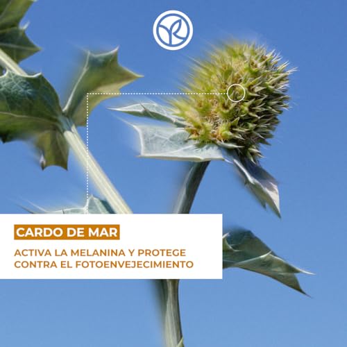 Yves Rocher SOLAIRE PEAU PARFAITE - Loción Aftersun 3 en 1 - Leche Hidratante para el Rostro y Cuerpo - Activa la Melanina y Protege contra el Fotoenvejecimiento - Piel Calmada e Hidratada - 200ml - Imagen 4