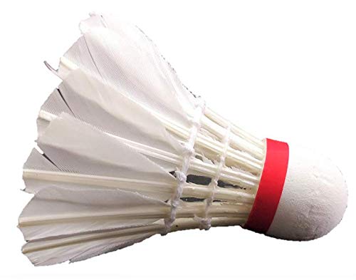 HeadTurners Made in India Goose Feather Badminton Shuttlecock (White), 10 Piece