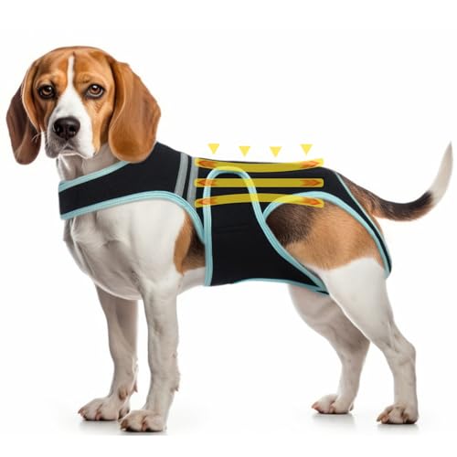 PUMYPOREITY Tutore per Schiena Cane Artrite per Alleviare Dolore alla Schiena, Recupero Chirurgico della Schian e La Riabilitazione(XL)