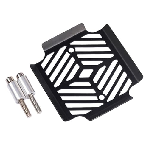 Grille radiateur pour G310GS et G310R de 2017 à 2023 - Protection moto - 3