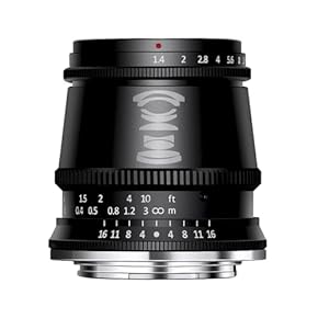 Amazon.co.jp: カメラ用交換レンズ: 家電＆カメラ