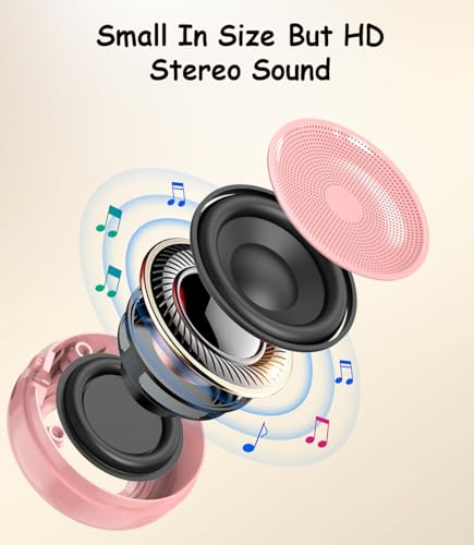 Portable Bluetooth Karaoke Microphone