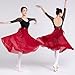 All-Matching Wrap Skirt for Women Long Dance Skirts Ballet Asymmetric Skate Over Scarf Long Skirts for Women