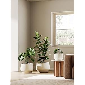 Le tauci ceramic planters 10 inch pots for plants indoor plant pots with drainage holes and saucers modern planters fit mid century plant stand flower pots for indoor plants reactive glaze beige  urban country home decor