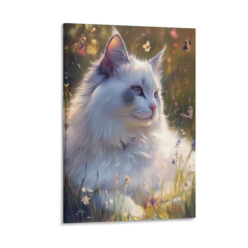 Impression sur toile Ragdoll image murale déco salon affiche 40x60