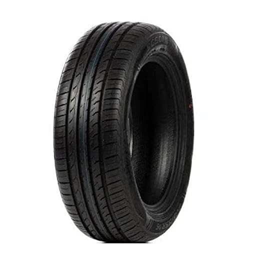 Däck pneus Roadhog Rg s01 205 55 ZR16 94W TL sommardäck