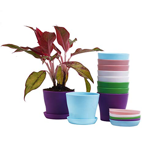 Tdhdike 10 Pcs Plastic Planters Indoor Pots, Mini Flower Seedlings Nursery Flower Pot With Pallet, Modern Decorative Gardening Containers #TOP5