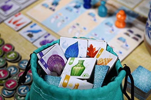 Juego de Mesa The Whatnot Cabinet de Pencil First Games – Juego Temático sobre la Naturaleza para Recolectar Objetos Intrigantes, para 1 a 4 Jugadores miniatura 2
