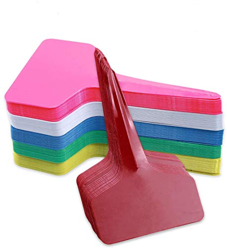 Disino Etiquetas de Plantas Reutilizable T-Tipo Etiquetas Jardinería Mark de Plástico de Planta Marcadores Tag para Semillas Vegetales Flores Hierbas (6CM * 10CM)