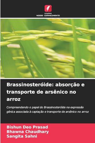 Brassinosteróide: absorção e transporte de arsênico no arroz: Compreendendo o papel do Brassinosteróide na expressão gênica associada à captação e transporte de arsênico no arroz