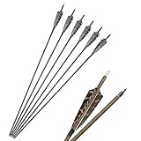 Photo Gallery sharrow 12pcs freccia di carbonio 30 pollici con piume di tacchino spine 350 tiro con l arco in carbonio frecce per arco compound ricurvo (12pcs) Photo Gallery sharrow 12pcs freccia di carbonio 30 pollici con piume di tacchino spine 350 tiro con l arco in carbonio frecce per arco compound ricurvo (12pcs)