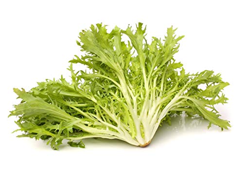 IndiviaCatalogna Puntarelle di Gaeta - alto valore nutritivo - semi