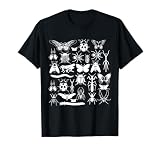 Beetle Lover Insect Collector Entomologist Beetle T-Shirt
