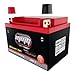 MMG YTZ14S Z14S Lithium Ion Sealed Factory Activated Powersports Battery 12V CCA 300 for Motorcycle BMW Honda KTM Yamaha (MMG4)