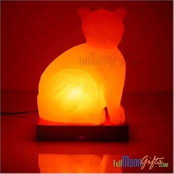 VHS Tape Gift of Life Salt Lamps Light Metaphysical Aromatherapy Book
