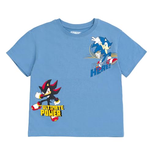 Image of SEGA Sonic the Hedgehog Athletic T-Shirt and Mesh Shorts Outfit Set Toddler to Big Kid Sizes (2T - 18-20)