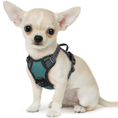 Image of Eagloo Dog Harness for Small Dogs, No Pull Pet Vest with 2 Leash Clips