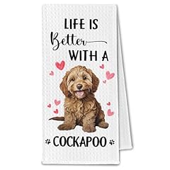 Cockapoo