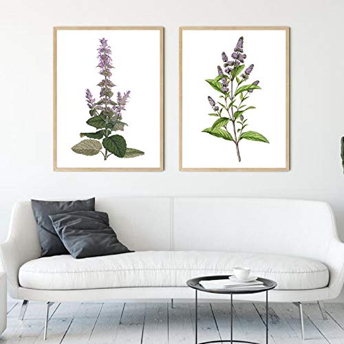 Affiches fleurs vintage Salvia pour salon chaleureux et décoration de chambre nature