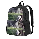 bywenhopnbs zaino da viaggio per la scuola, per uomini e donne, con scomparto per laptop da 15 pollici, con motivo bearded collie, beardie curly gray dogs pets