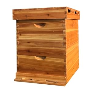 10-Frame Double-Layer Beehive Starter Kit, Beeswax Coated Unassembled Hive with 2 Deep Boxes, Complete Beekeeping Set (Excluding Frames) for Beginners and Experts