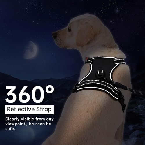 Image of Lyrovo Adjustable No-Pull Dog Harness with Leash Set for Small, Medium & Large Dogs - Reflective, Breathable, Comfortable Vest Harness for Training & Walking (Black, M (14-22Kg))