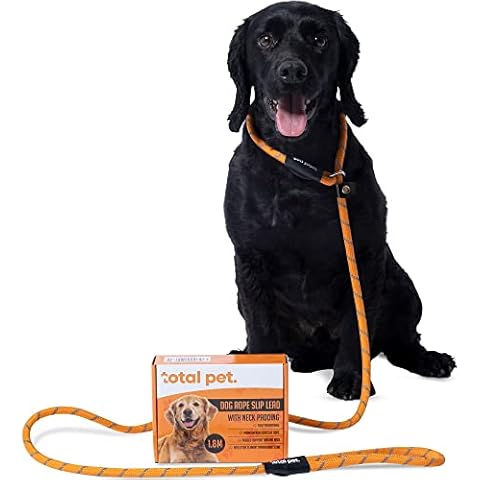 Total Pet Dog Slip Lead with Padding Cover