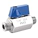 DERNORD Stainless Steel Ball Valve - 1/4 Inch NPT Thread Male Small Mini Ball Valve (1/4" Male&Male)