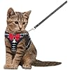 Cat Leash and Harness Set,Breathable Dog Harness,Pet Harness,Adjustable Mesh cat Harness and Leash Escape Proof for Puppy Cat Rabbit (Black, XXS)
