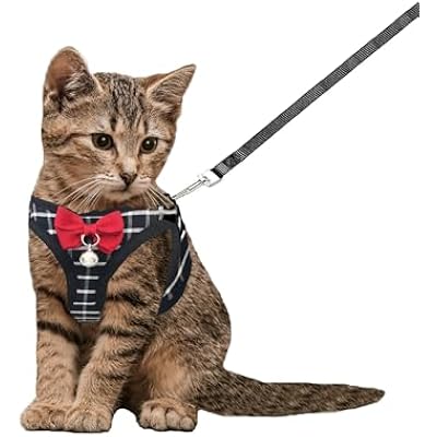 Cat Leash and Harness Set,Breathable Dog Harness,Pet Harness,Adjustable Mesh cat Harness and Leash Escape Proof for Puppy Cat Rabbit (Black, XXS)