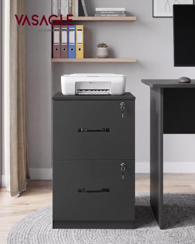 Image of VASAGLE 2 Drawer File Cabinet with Locks, for A4, Letter Sized Documents