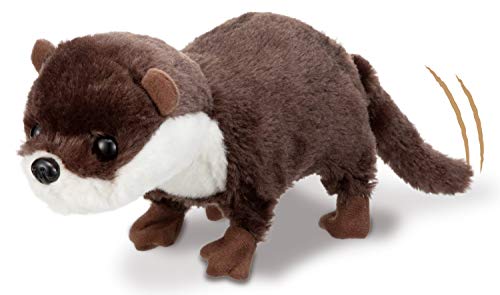 カワウソ コツメちゃん カワウソ コツメちゃん